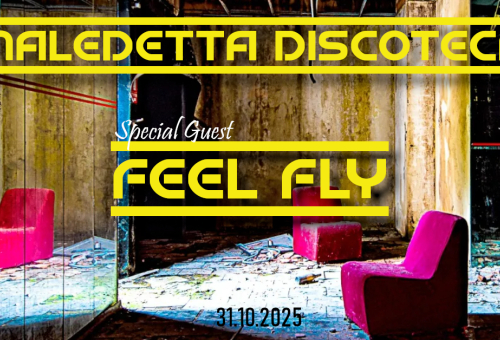 Maledetta Discoteca: Feef Fly